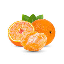 Satsuma Mandalina